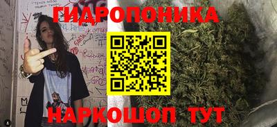 гидра Анжеро-Судженск