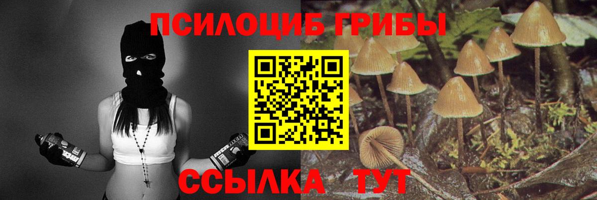 Галлюциногенные грибы Cubensis  Псилоцибиновые грибы мухоморы  Обнинск  Вход с VPN 